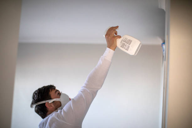 Best Toxic Mold Removal  in Livingston, AL