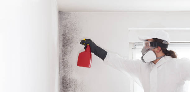 Best Residential Mold Removal  in Livingston, AL