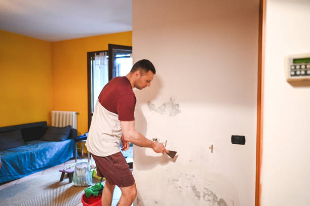 Best Mold Remediation  in Livingston, AL